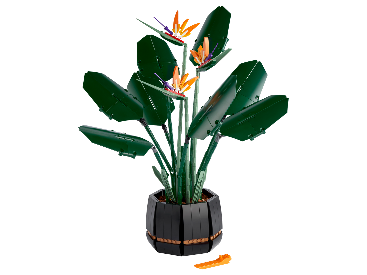 LEGO Bird of Paradise — Set 10289