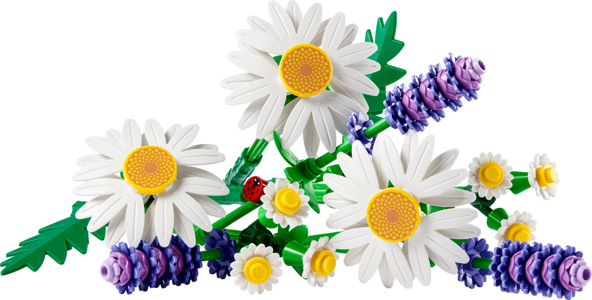 LEGO Daisies — Set 11508