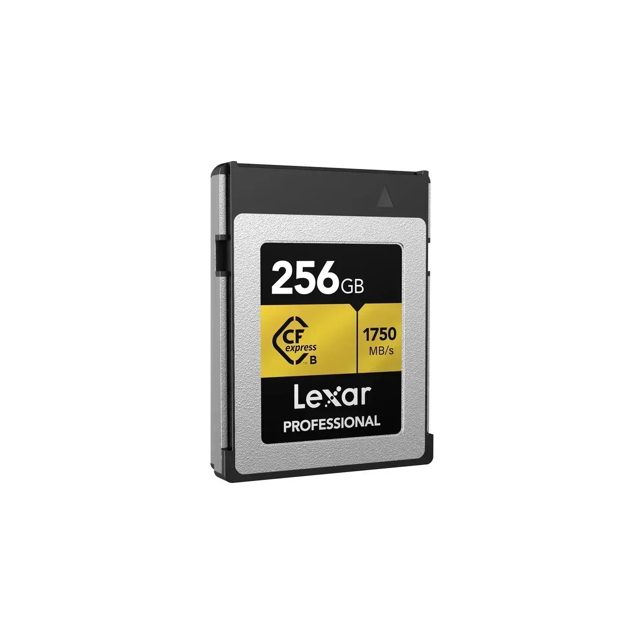 Lexar CF Express Type B 256GB Professional Memory Card Guards On Duty Security