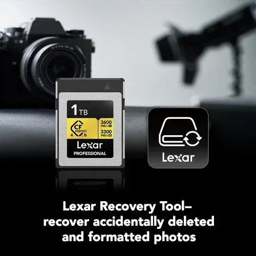 Lexar 1TB Professional GOLD CFexpress 4.0 Type B Memory Card Guards On Duty Security