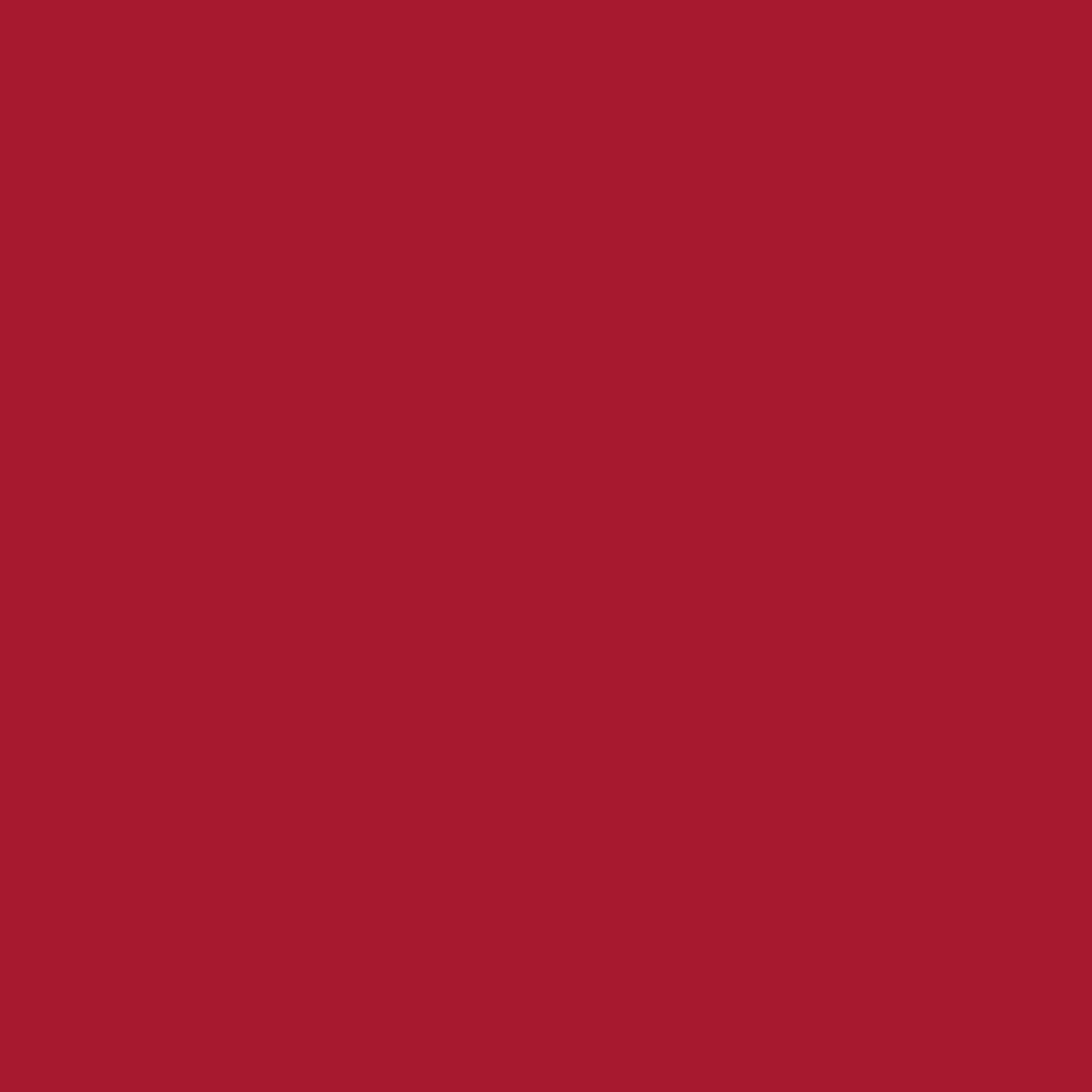 2008653 - Cricut Smart Vinyl Removable 33x366Cm 1 Sheet (Red)
