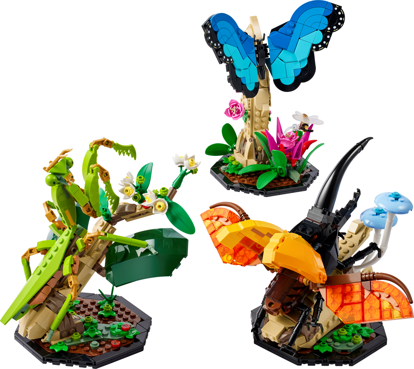 LEGO The Insect Collection — Set 21342