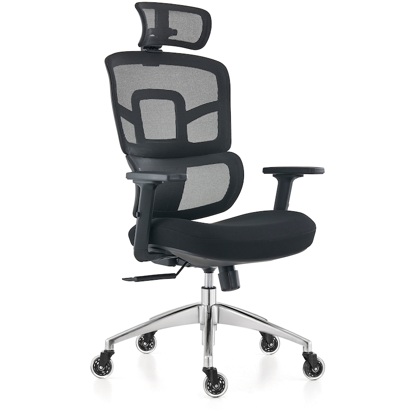 Everfurn Premium Graphite Ergo High Back Chair - Black