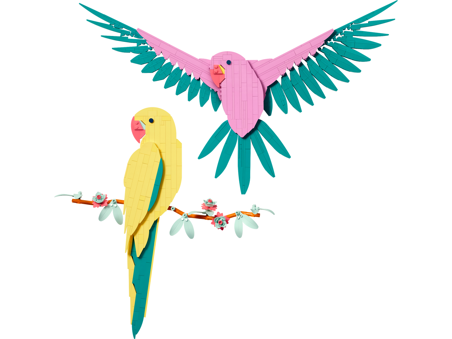 LEGO The Fauna Collection - Macaw Parrots — Set 31211