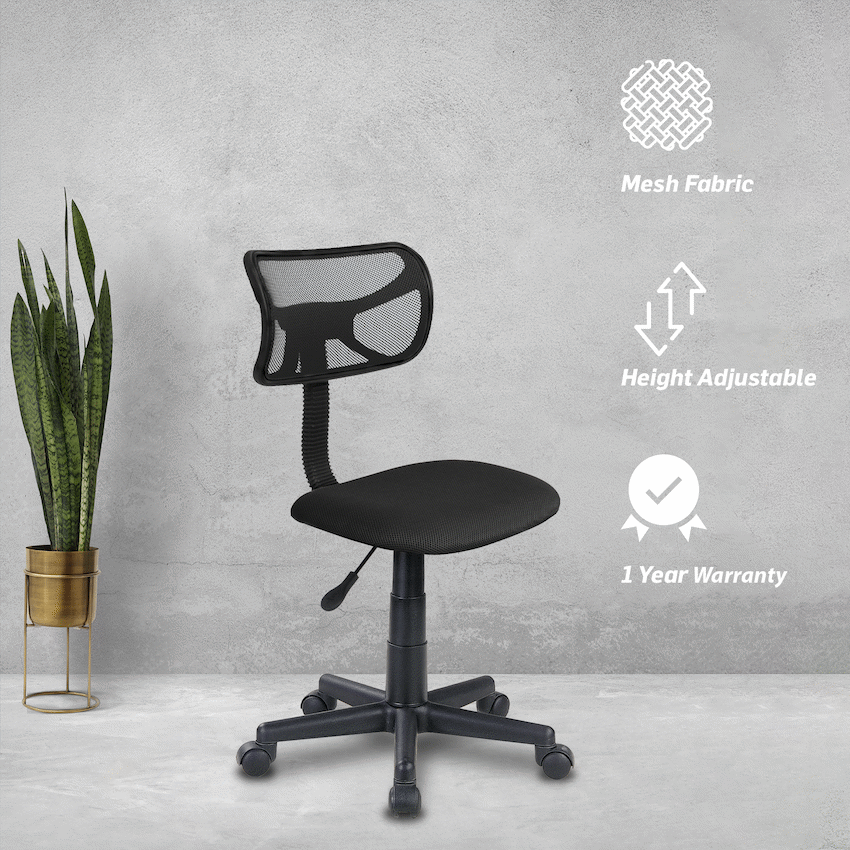 Everfurn Julia Chair - Guards On Duty Shop & Security Guards