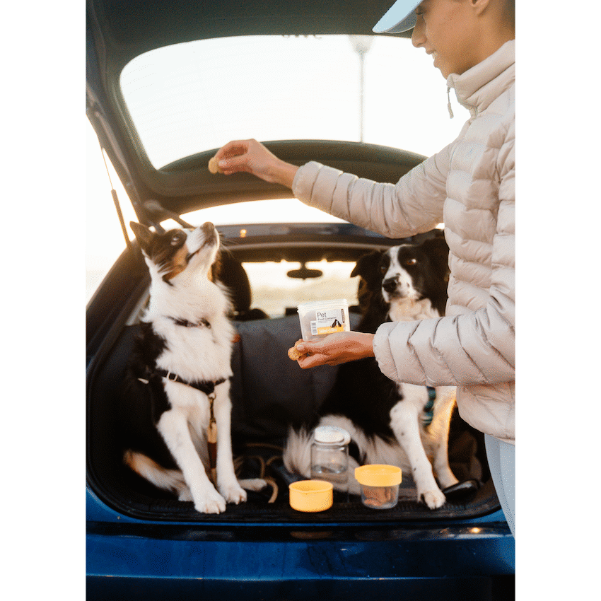 LocknLock Pet food container 360+310ml ( Order in Qty of 6)