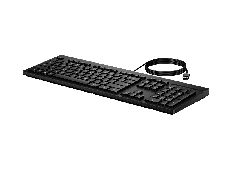 HP 125 G2 USB Wired Keyboard (OEM Packaging)