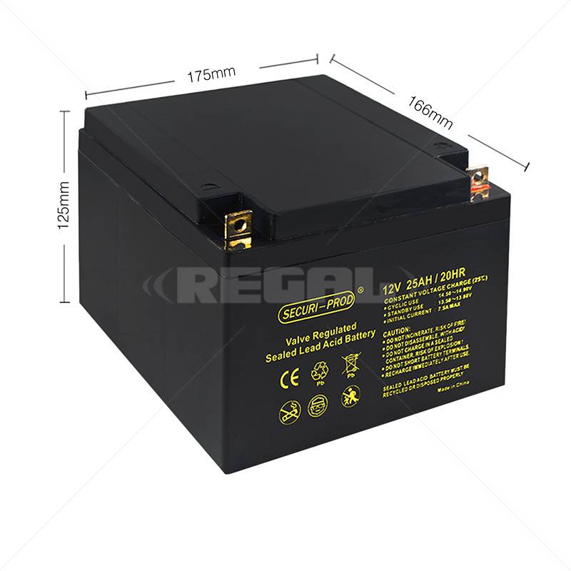Securi-Prod Battery 12V 25Ah SLA