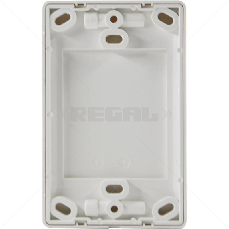 Conduit PVC Cover Plate 4 x 2" Box