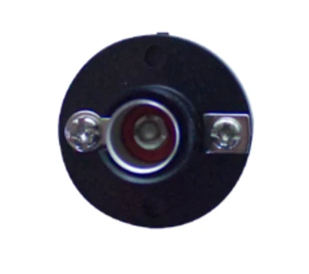 Globe Socket (24 Pack)