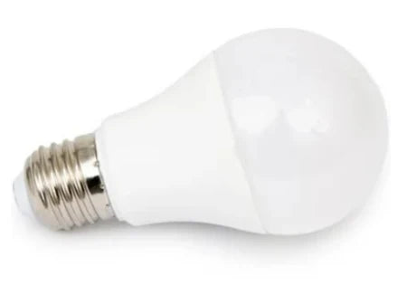 A55 Dimmable E27 Cool White