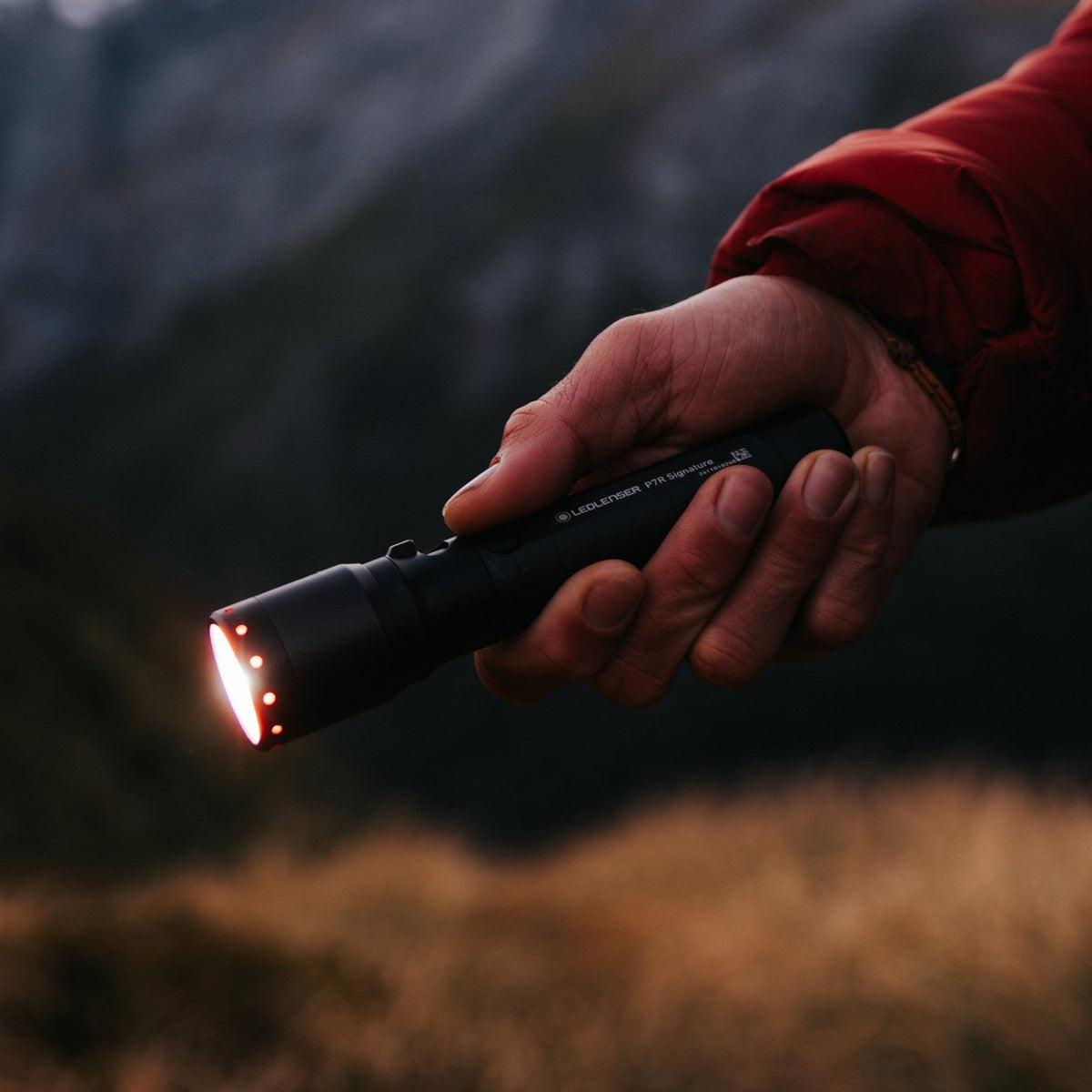 Ledlenser P7R Signature Torch