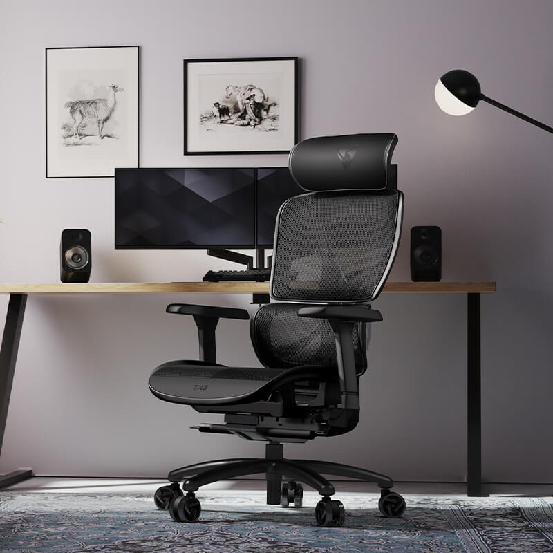 Thunderx3 XTC Ergonomic Chair - Mesh Black (TEGC-3054101.11).
