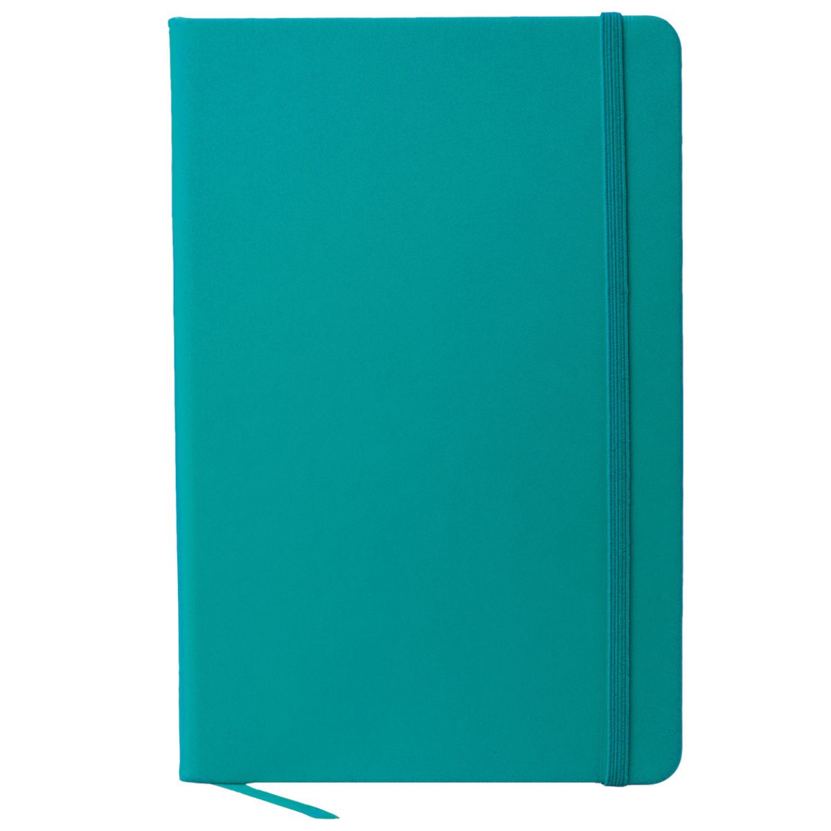 A5 Snapper Notebook - Turquoise