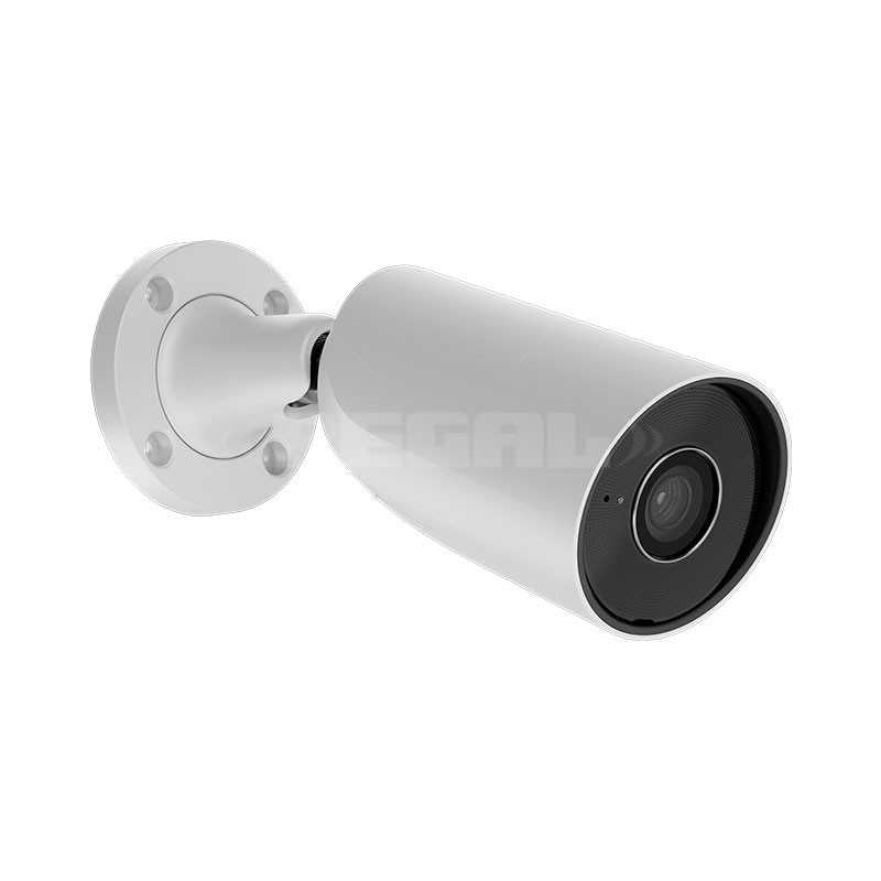 BulletCam (5Mp/4 mm) White (Request 79029.217.WH1 On)
