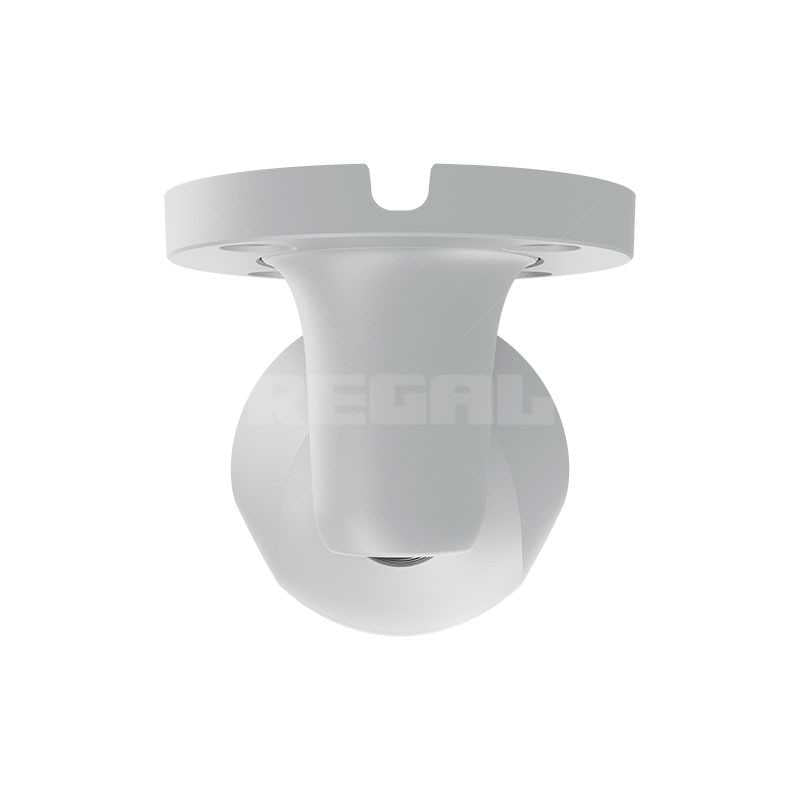 BulletCam (5Mp/4 mm) White (Request 79029.217.WH1 On)