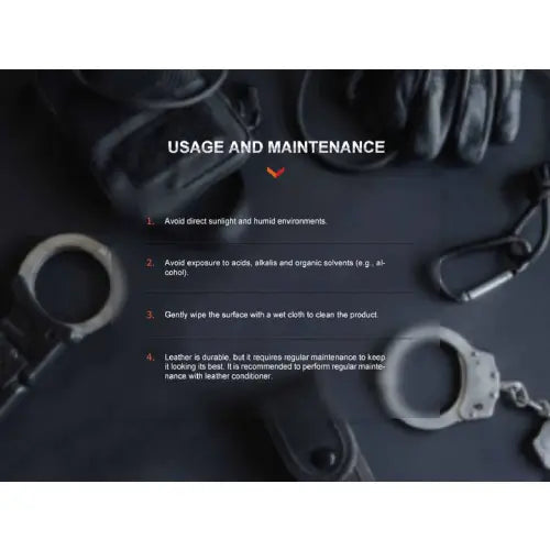 Fenix ALP-20 Holster Black