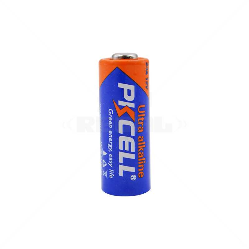 Batt Remote 12V PP23A