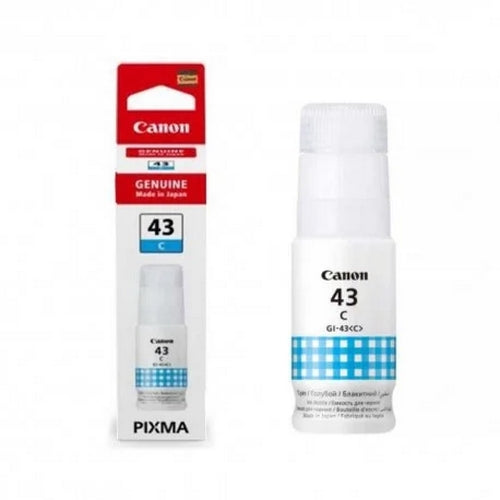 Canon GI-43 C - Guards On Duty Shop