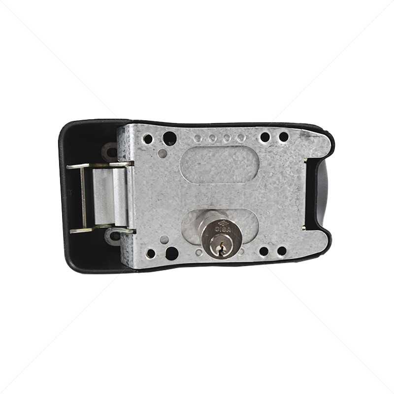 CISA Electric Swing Gate Lock Btn 12VAC