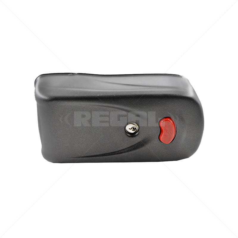 CISA Electric Swing Gate Lock Btn 12VAC