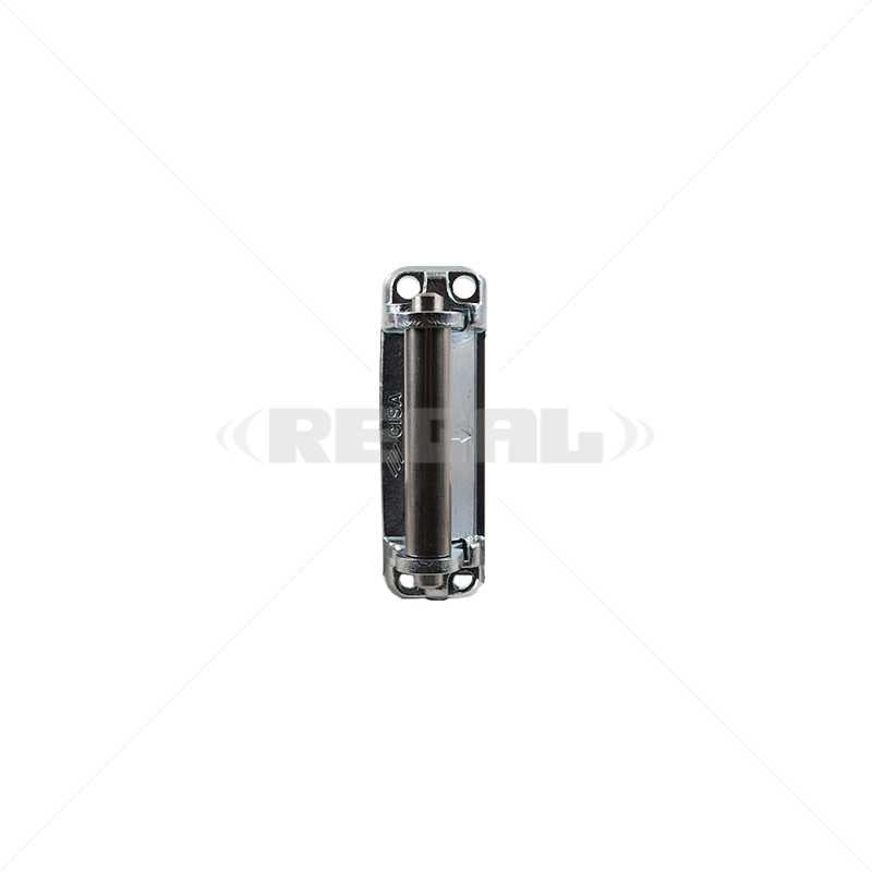 CISA Electric Swing Gate Lock Btn 12VAC