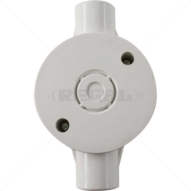 Conduit PVC 20mm 2-Way Box Lid & Screws