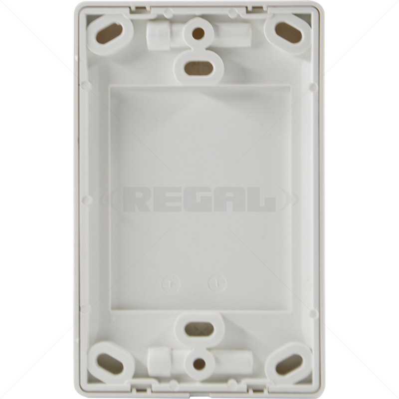 Conduit PVC Cover Plate 4 x 2" Box