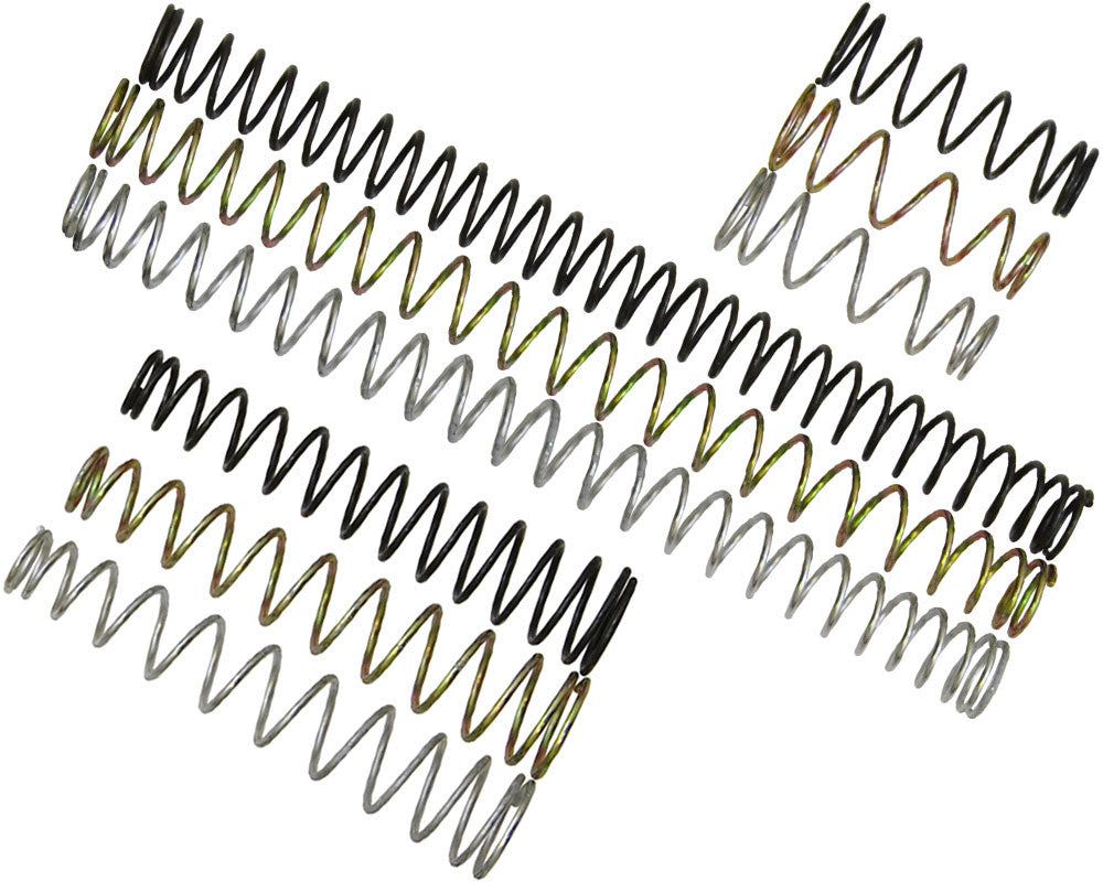 Spyder Ultimate Spring Kit (RNS41811)