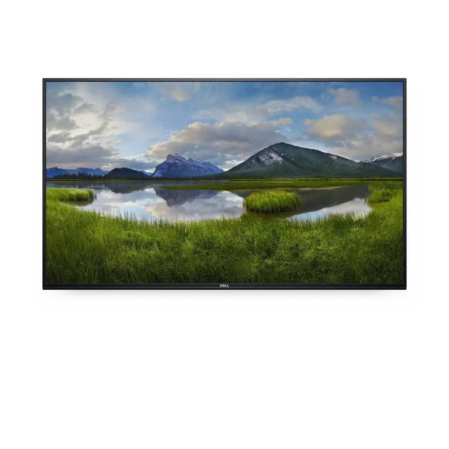 DELL 55" 4K CONFERENCE ROOM MONITOR - P5524Q - 139.7CM (54,6"), VGA, DP, 2X HDMI, RS-232, LAN, USB 3.0 (1X DP CABLE, 1X HDMI, 1X VGA , 1X USB CABLE INCLUDED) - BLACK - Guards On Duty Shop & Security Guards