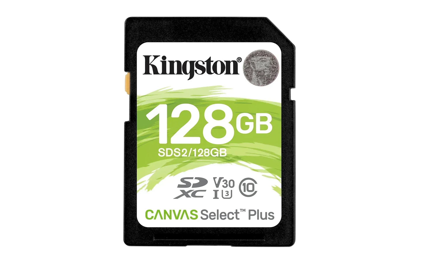 KINGSTON 128GB SDXC CANVAS SELECT PLUS 100R C10 UHS-I U3 V30 Guards On Duty Security