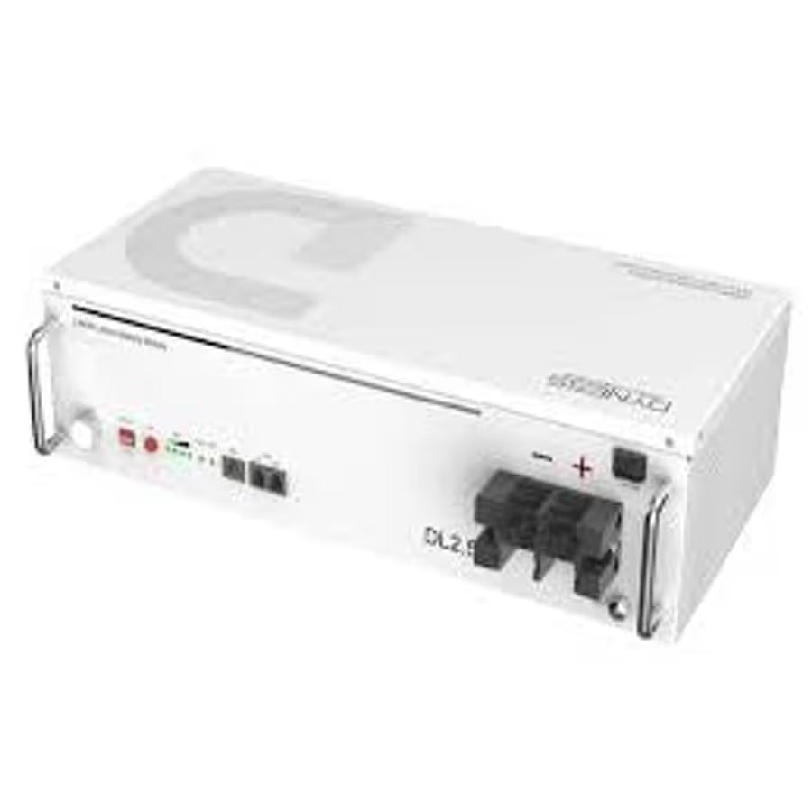 DYNESS DL2.5 25.6V 100Ah 2.56kWh LiFePo Battery -5 year warranty