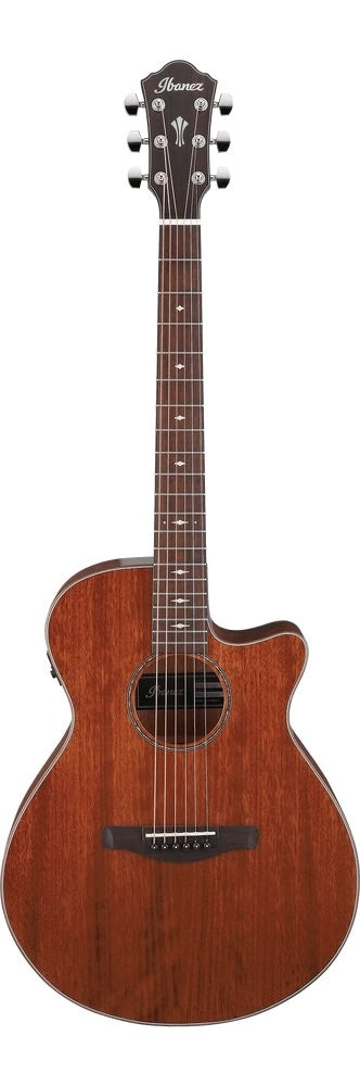 Ibanez Acoustic Guitar (AEG220-LGS)