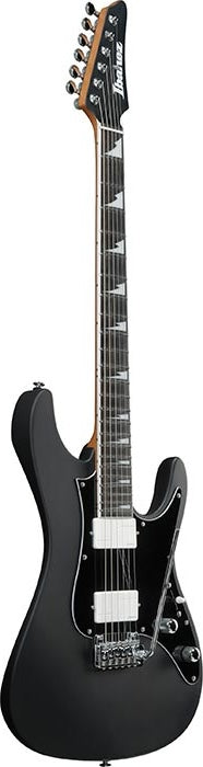 IBANEZ SIGNATURE SERIES (BER10)