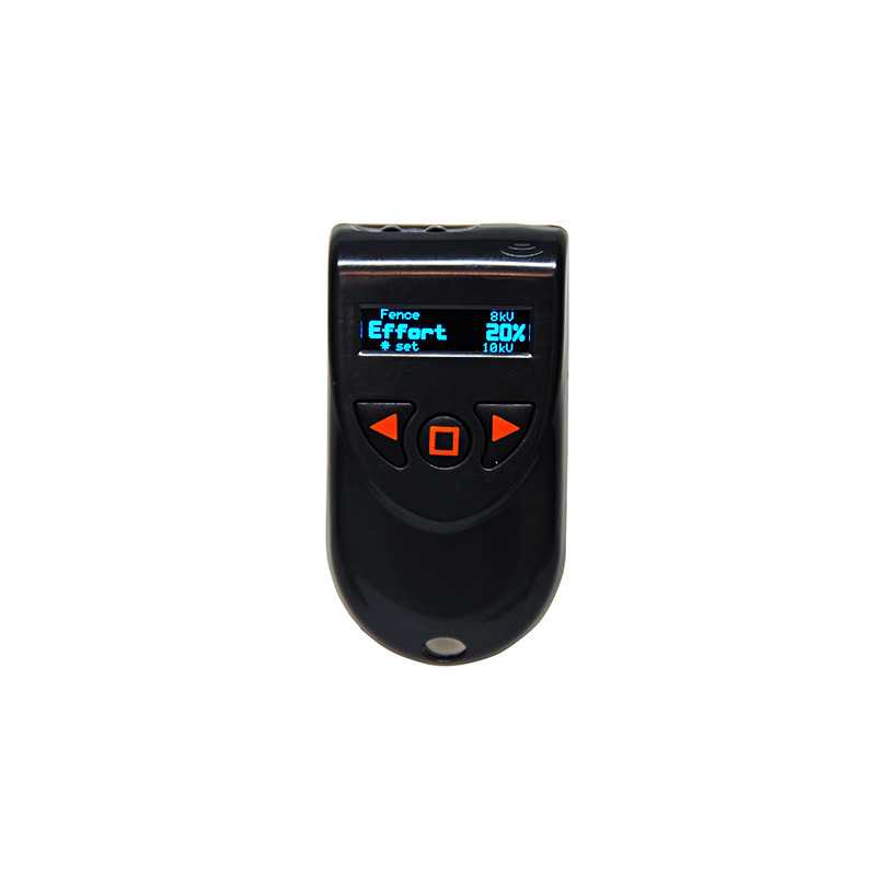 Remote - Agri Key Chain