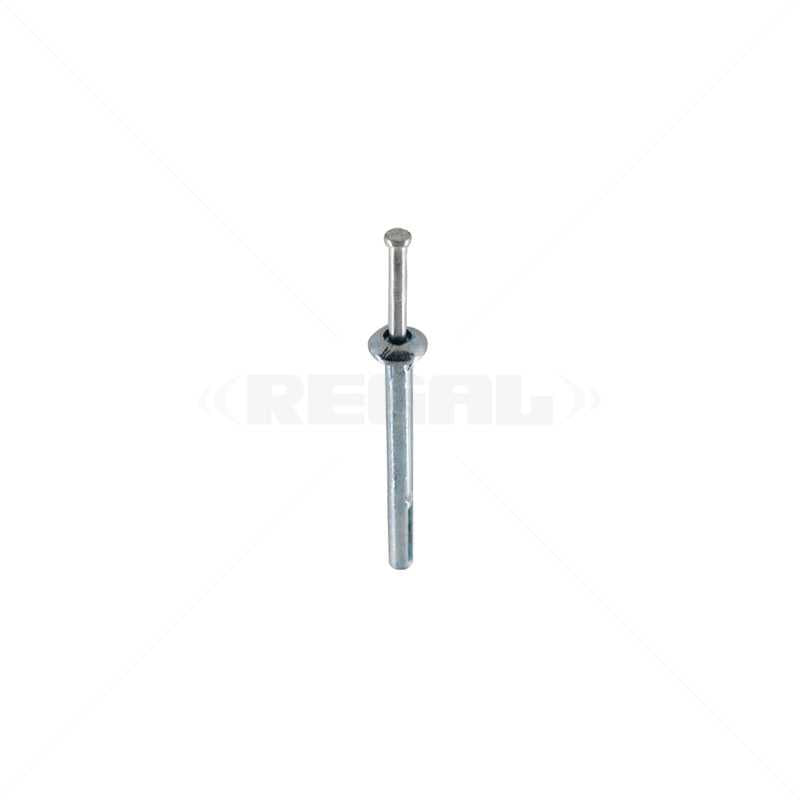 Hammer Drive Zink Alloy 6 x 65mm / 100