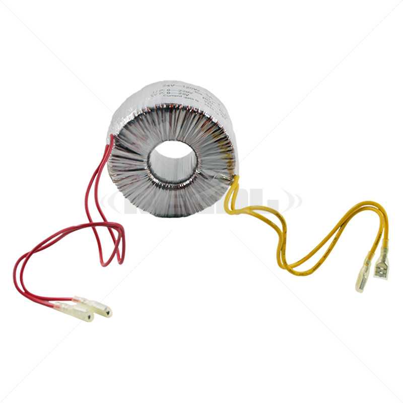 Nice Garage Door Accessories DC Blue Toroidal Transformer 24V120W5A