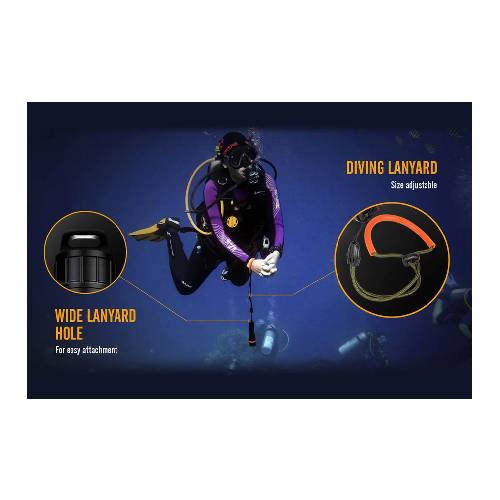 FENIX SD11 LED FLASHLIGHT (BLACK)