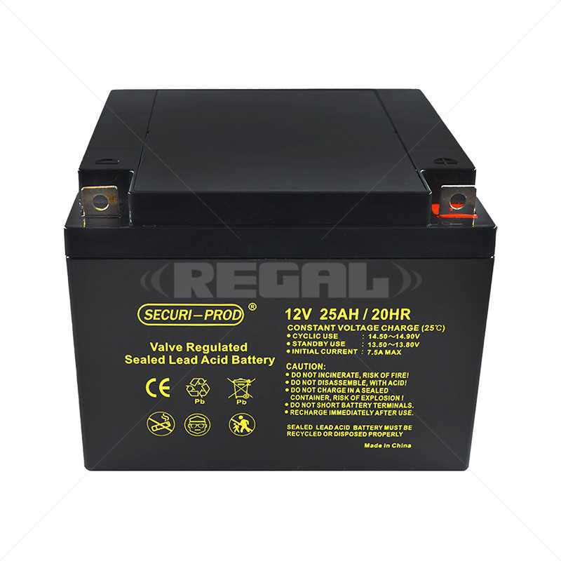 Battery - 12V 25Ah SLA
