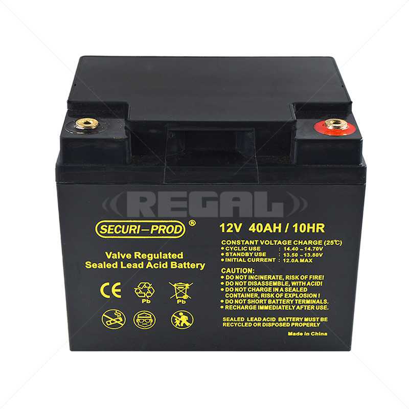 Battery - 12V 40Ah SLA