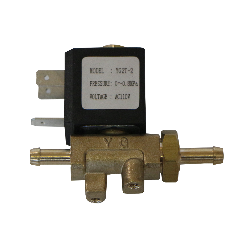 Solenoid YG2T AC110V