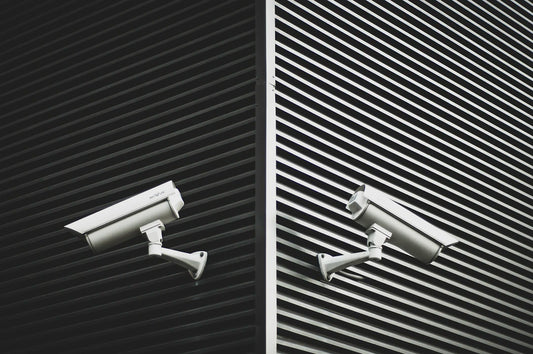 Securing Your Space The Link Between Security  Loss Prevention
