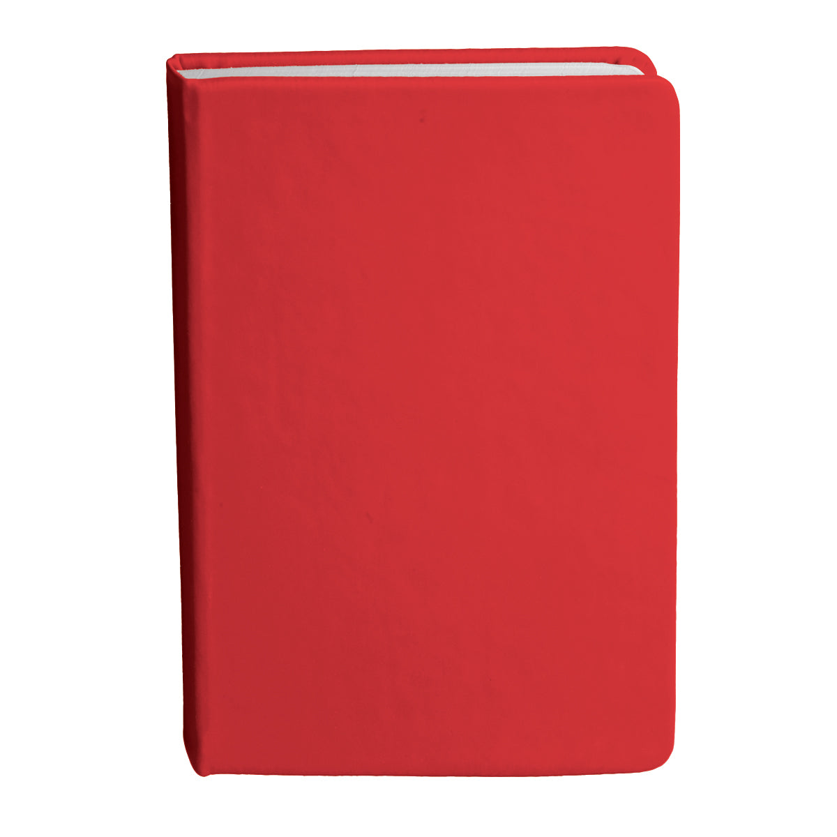 Bingham Notebook