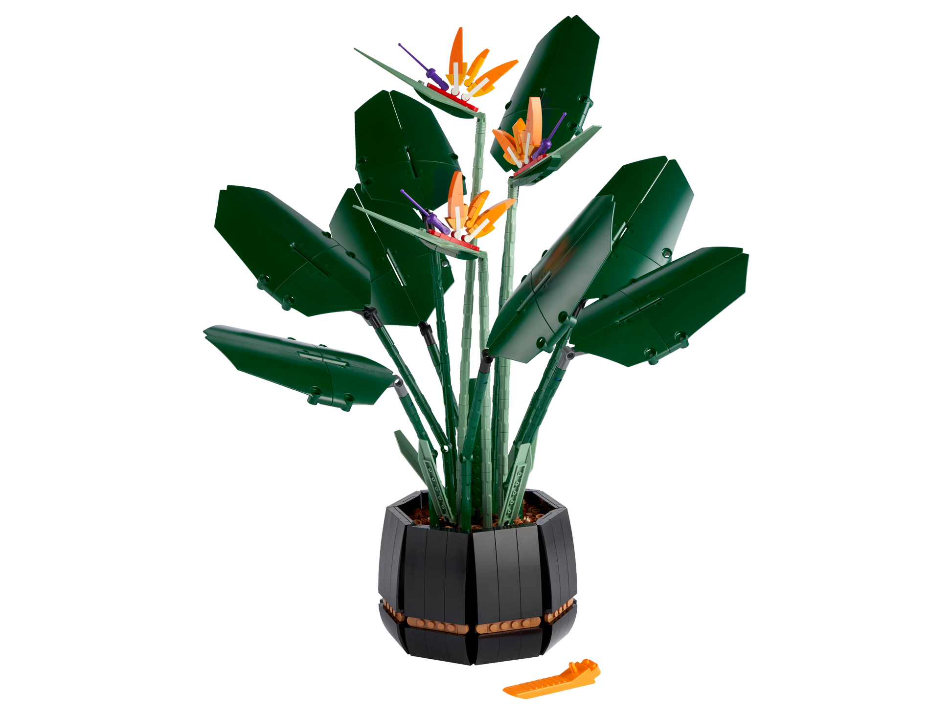 LEGO Bird of Paradise — Set 10289