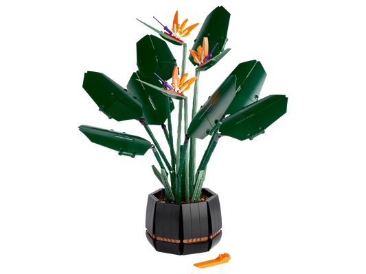 LEGO Bird of Paradise — Set 10289