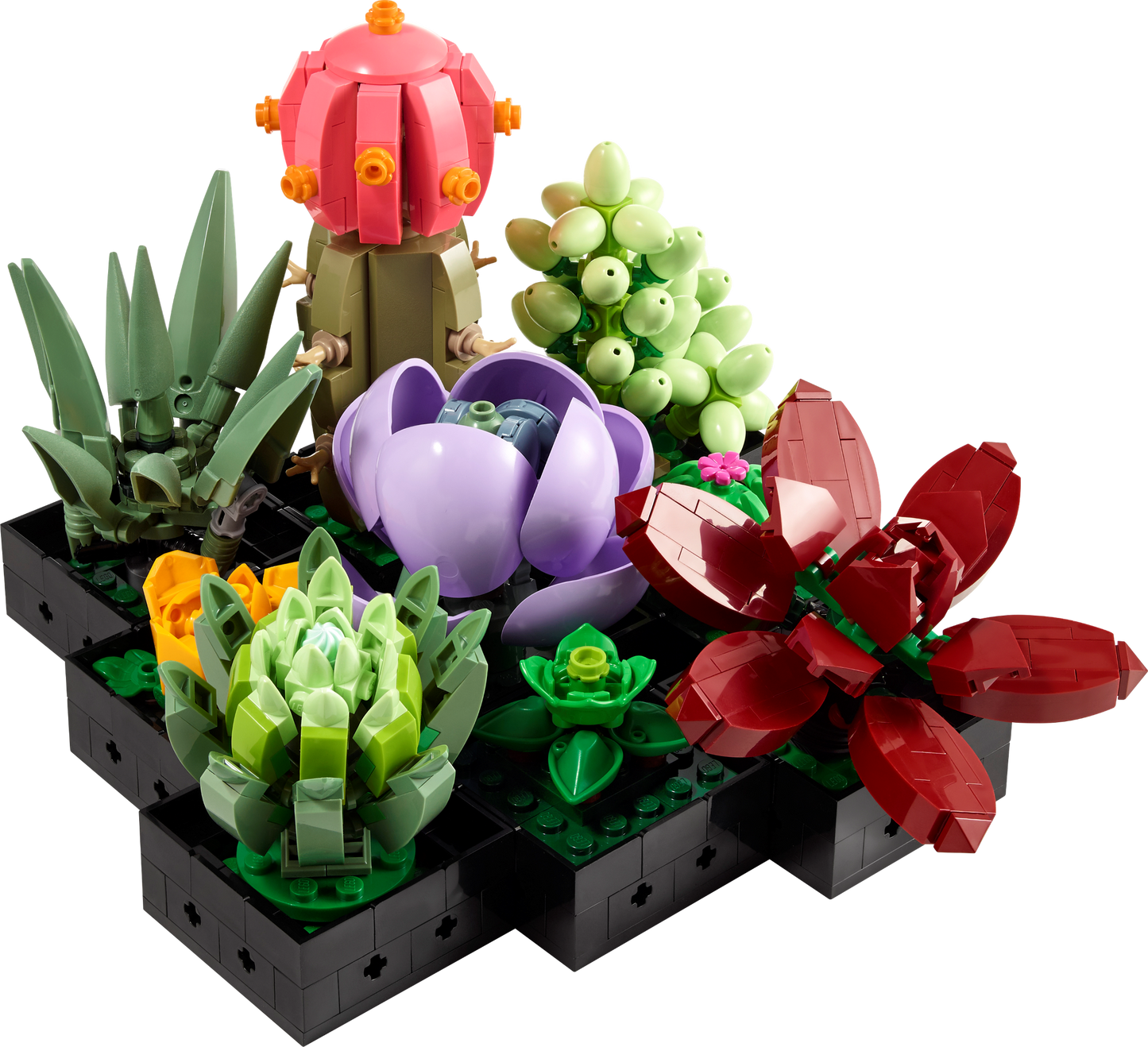 LEGO Succulents — Set 10309