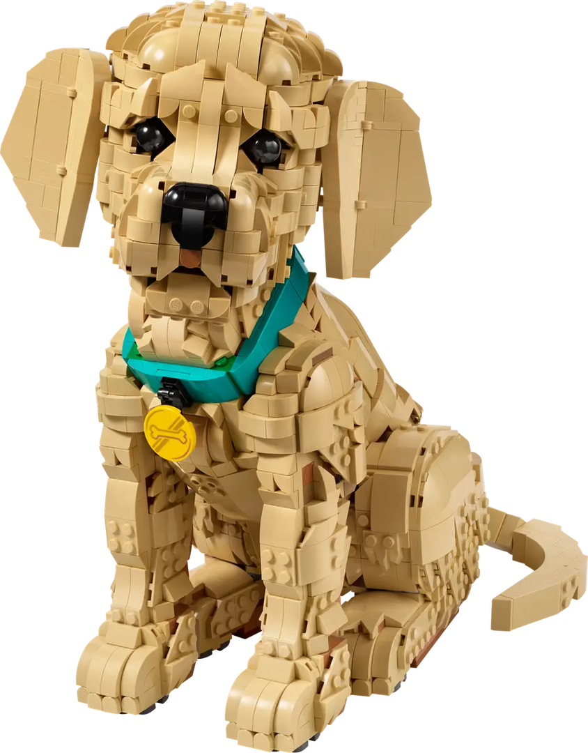 LEGO Golden Retriever Puppy — Set 11384