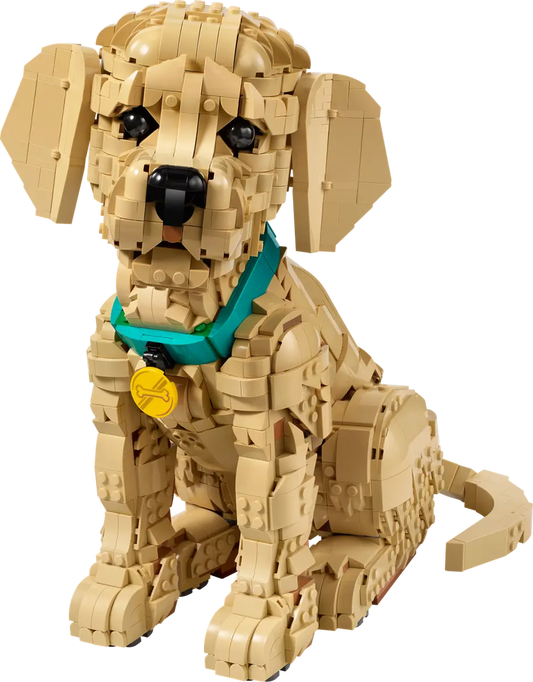 LEGO Golden Retriever Puppy — Set 11384
