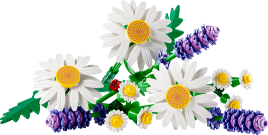 LEGO Daisies — Set 11508