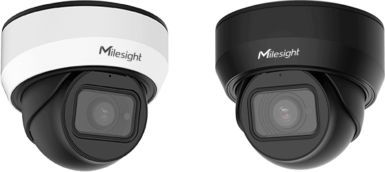 Milesight 2MP Outdoor Vandal-Proof Dome Camera | MS-C2975-FPD
